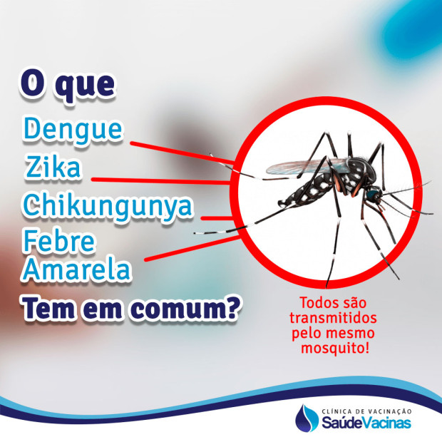 O que Dengue, Zika, Chikungunya e Febre Amarela tem em comum?